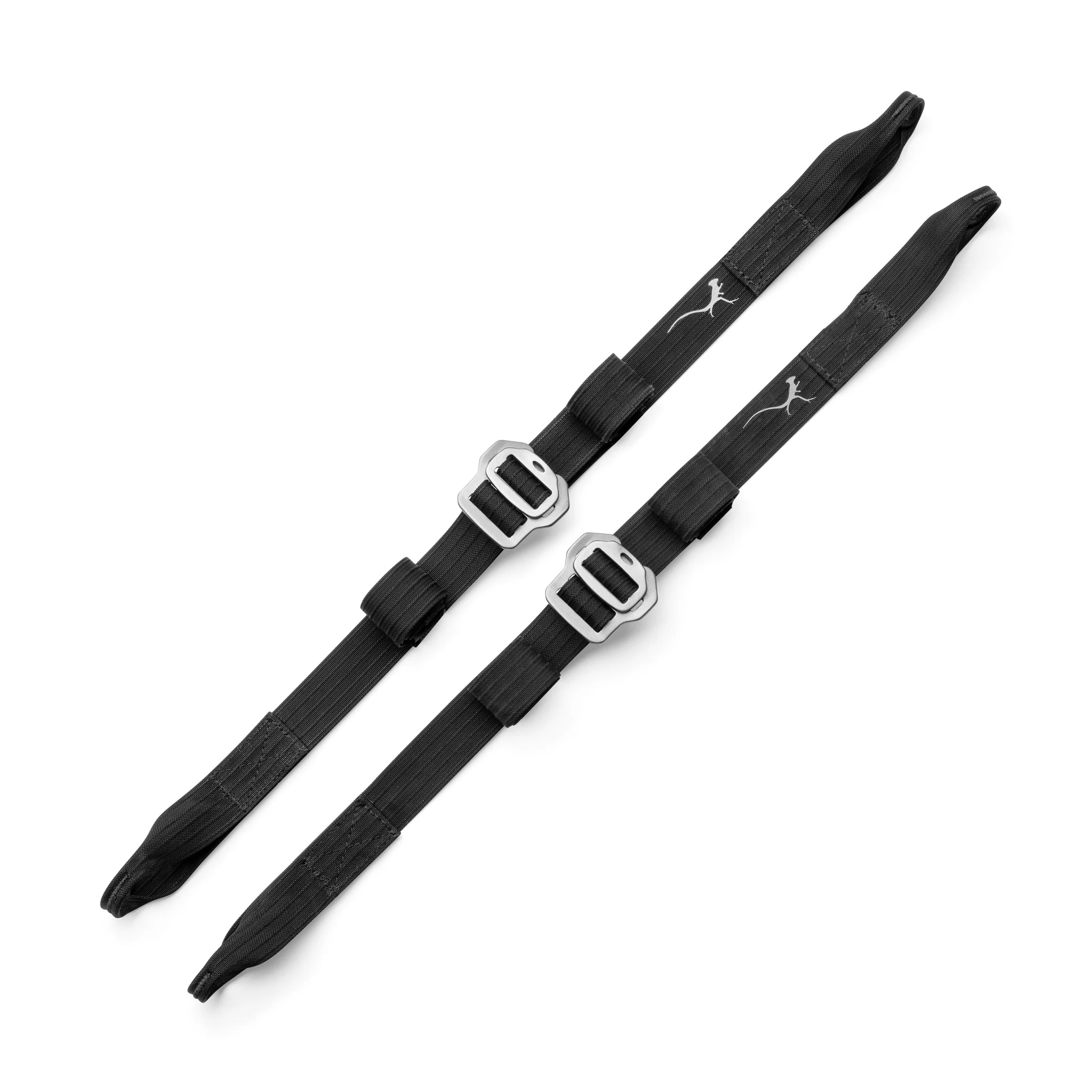 Alpine Cinch Straps