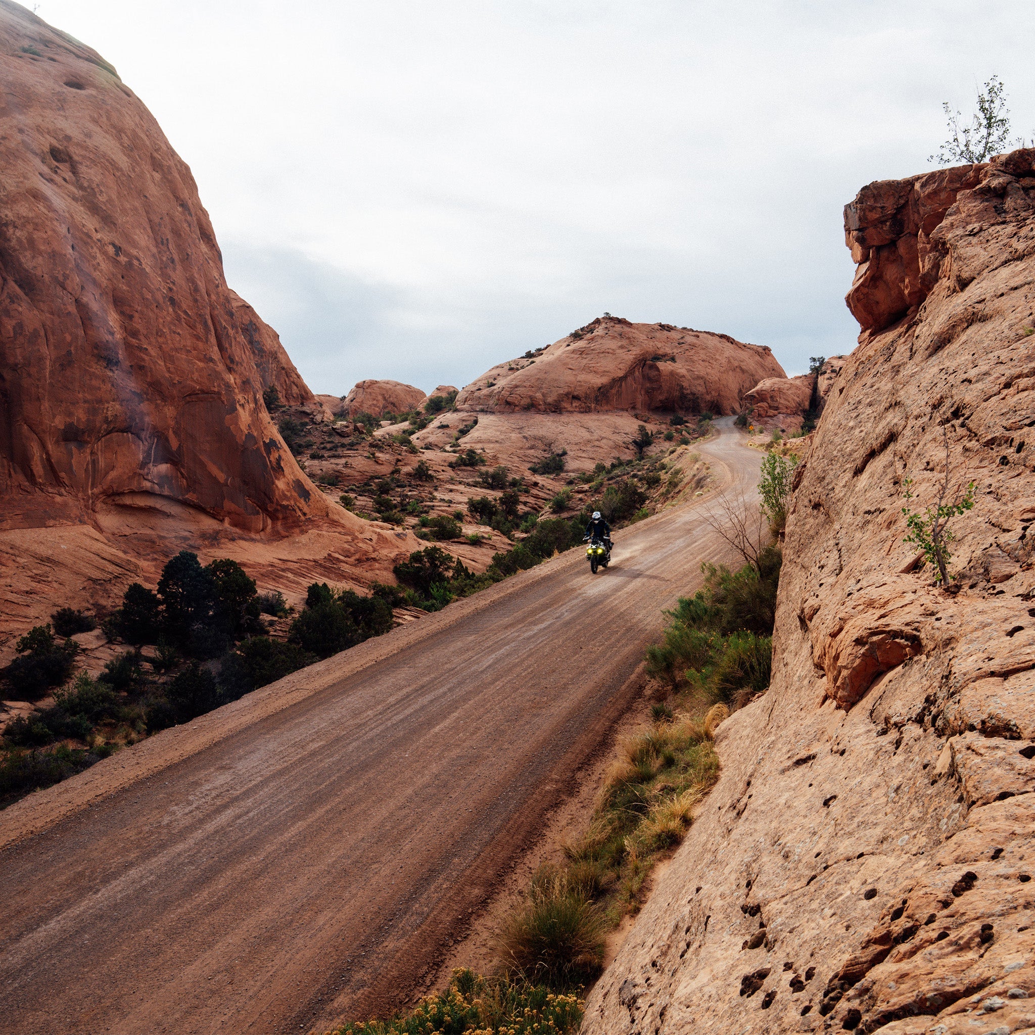 Dusty Lizard Campout Moab - Image 6